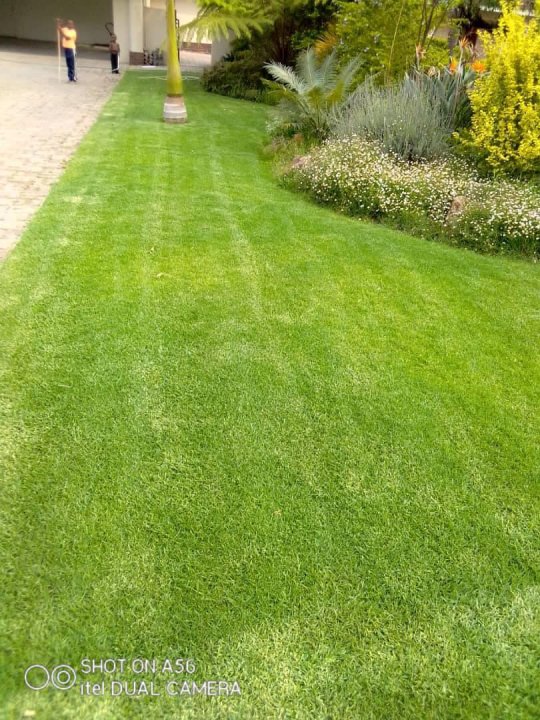 Gardenchore garden landscaping