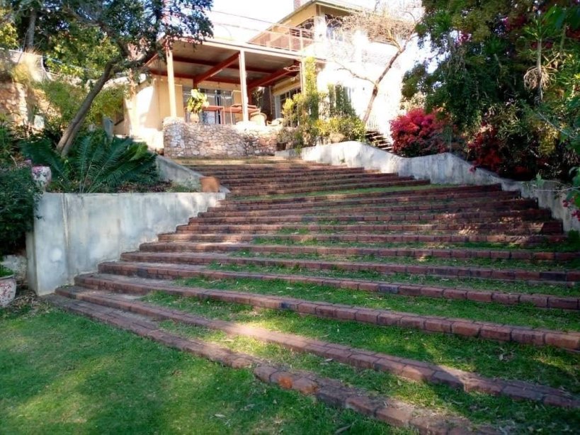 Beautiful Instant Lawn