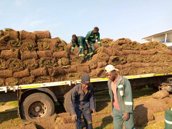 Instant Lawn Being Loaded