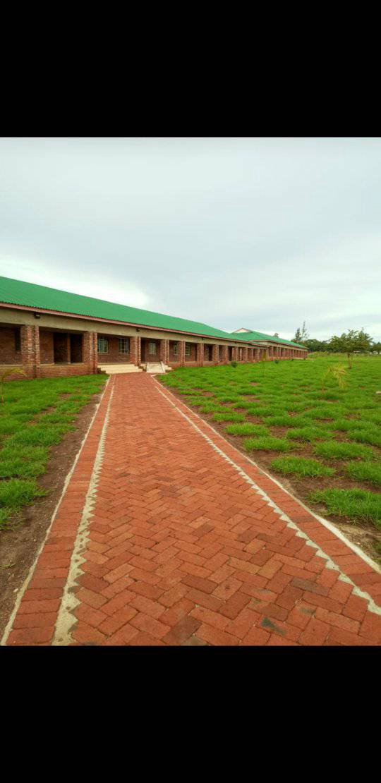 Gardenchore residential lawn project
