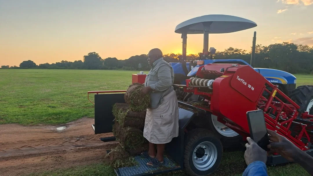 Laying rolls of premium organic Kikuyu grass