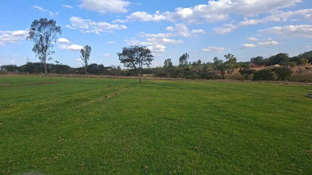 Gardenchore team installing high-quality lawn sod