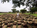Lawn Installation